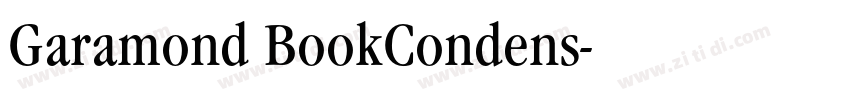 Garamond BookCondens字体转换